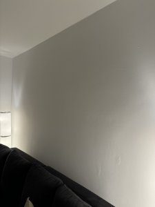 IMG_1016.jpeg