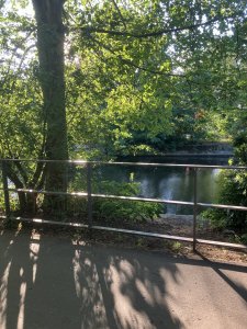 IMG_0609.jpeg