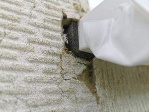 IMG_20240610_120714.jpg