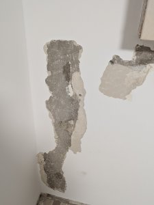 PXL_20240613_205611551.jpg