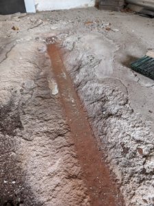 PXL_20240615_150159524 (Klein).jpg