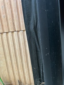 IMG_5635.jpeg