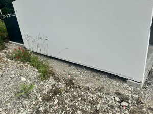 IMG_4017.jpeg