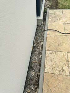 IMG_4019.jpeg