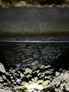 IMG_5882.jpeg