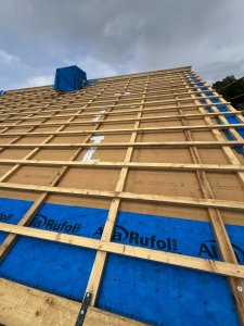 IMG_5589 2 Large.jpeg