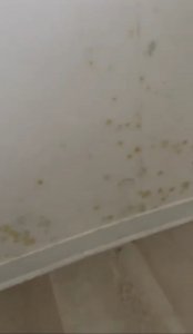 Bildschirmfoto 2024-06-20 um 17.55.45.jpeg