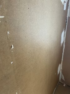 IMG_2982.jpeg