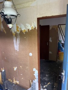 IMG_2983.jpeg