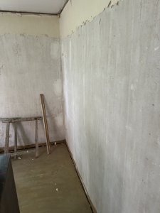IMG_2981.jpeg