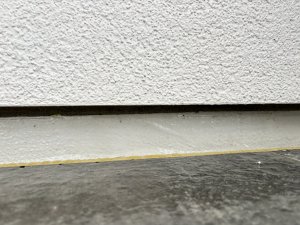 IMG_0273.jpeg