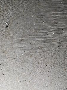 IMG_6239.jpeg