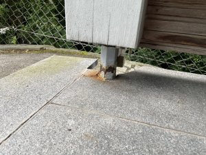 IMG_8389.jpeg