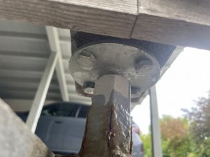 IMG_8386.jpeg