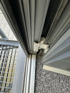 IMG_1178.jpeg