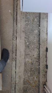 IMG-20240624-WA0005.jpeg