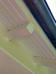 IMG_2325.jpeg
