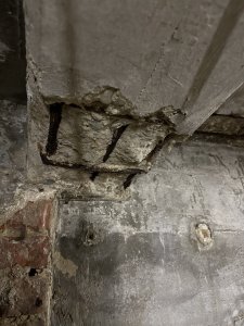 IMG_3397.jpeg