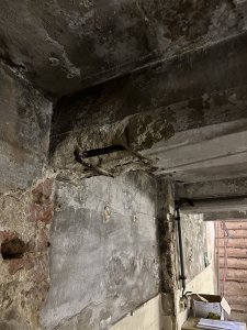 IMG_3398.jpeg