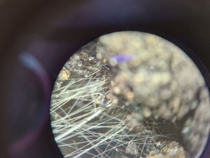 20240629_111029.jpg