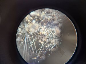 20240629_111109.jpg