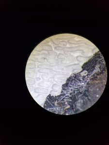 20240629_111549.jpg