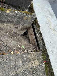 IMG_4993.jpeg