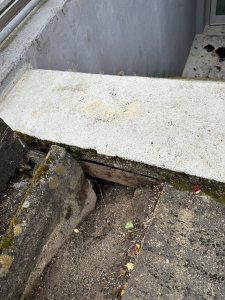 IMG_4994.jpeg