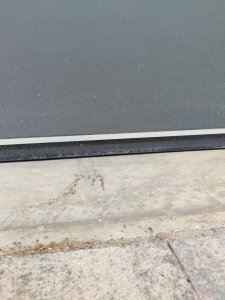 IMG_20240630_202731.jpg