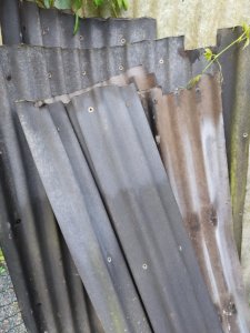 Wellplatte1.jpg