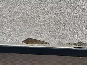 IMG_7338.jpeg