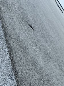 IMG_4396.jpeg