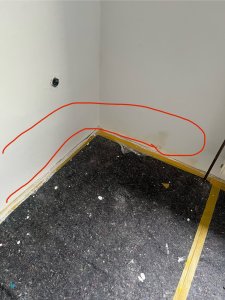 IMG_4391.jpeg