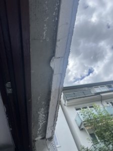 IMG_4394.jpeg