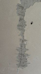bd93e96f-a567-4e88-b283-d67688d47642.jpeg