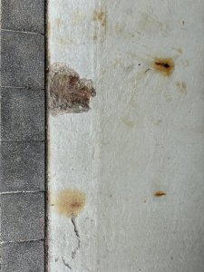 IMG_4102.jpeg