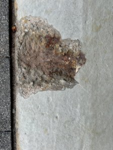 IMG_4098.jpeg