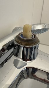 Mittel (IMG_4036).jpeg