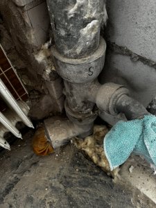 IMG_5965.jpeg