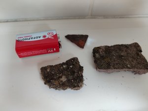 IMG_20240707_085506.jpg