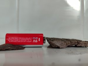 IMG_20240707_104214.jpg