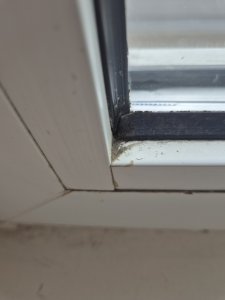 20240714_162203.jpg