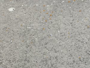 IMG_20240714_165647811.jpg