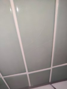 IMG_20240715_092811.jpg
