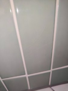 IMG_20240715_092808.jpg