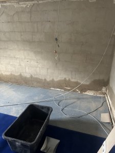 IMG_3643.jpeg