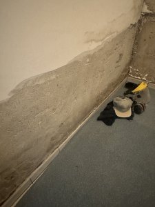IMG_3644.jpeg