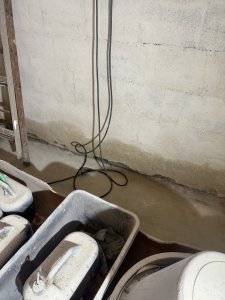 IMG_3645.jpeg