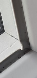 WhatsApp Image 2024-07-20 at 07.59.53 (1).jpeg