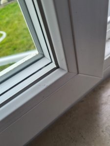 WhatsApp Image 2024-07-20 at 07.59.53.jpeg